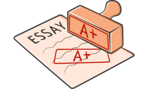 как написать эссе правильно